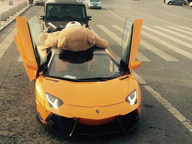 Man Straps Teddy Bear To Roof Of His Lamborghini Aventador In China